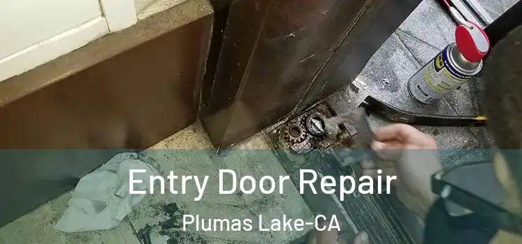  Entry Door Repair Plumas Lake-CA