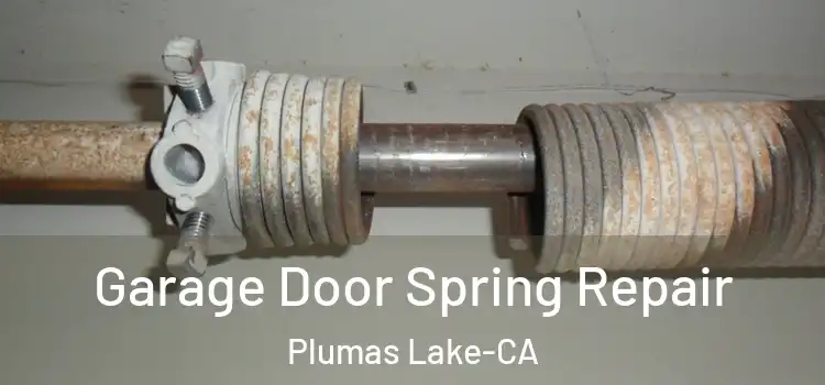  Garage Door Spring Repair Plumas Lake-CA